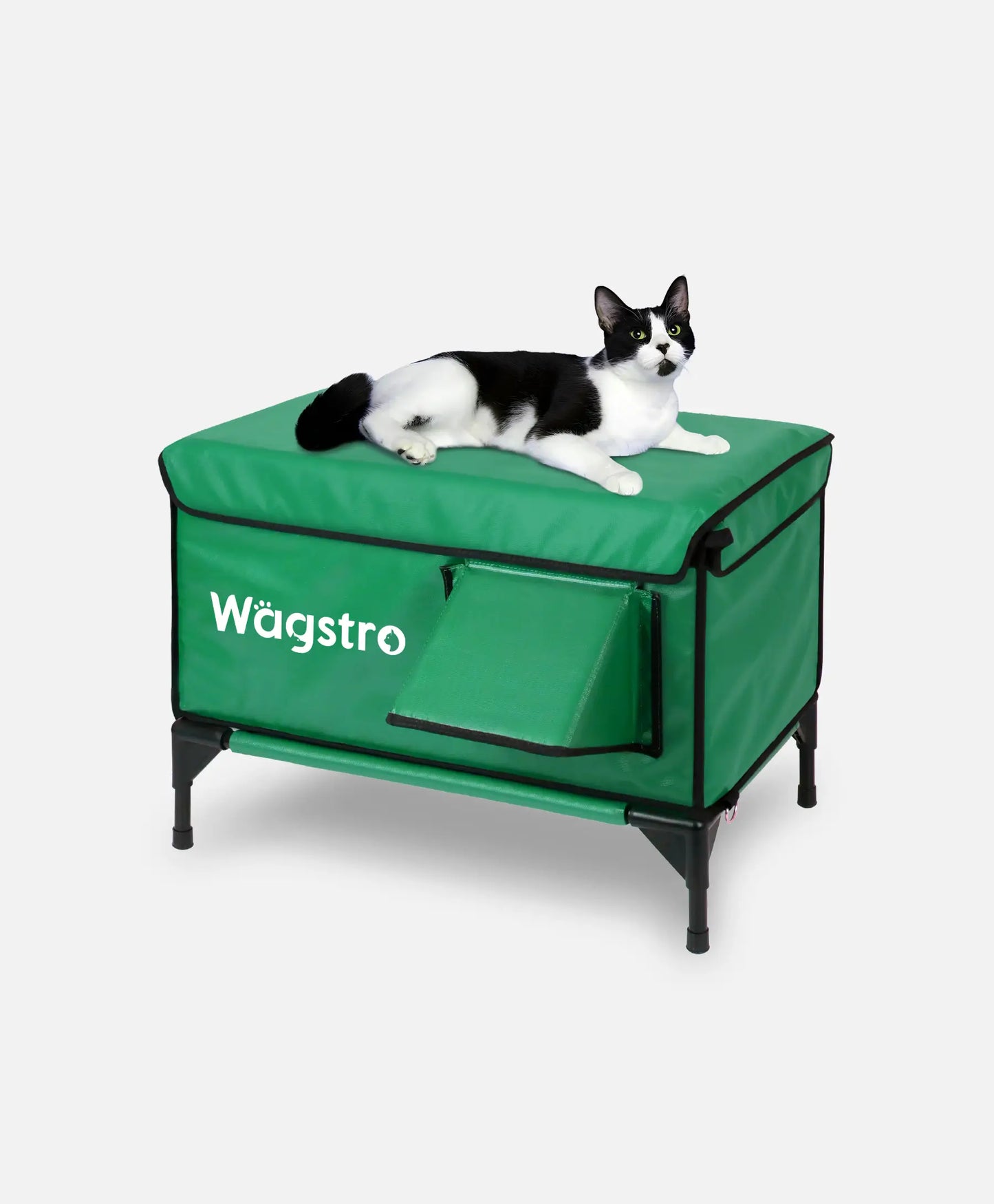 ArcticGuard™ Heated Outdoor Cat Shelter – Green | Large