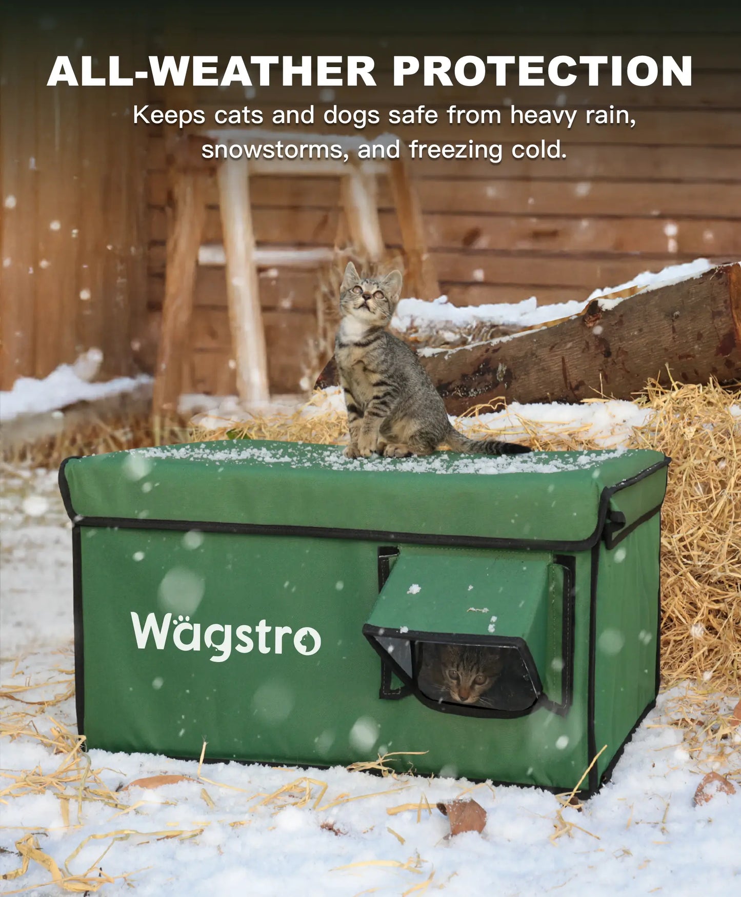 AllGuard™ Heated Outdoor Cat Shelter – Green | Compact Base