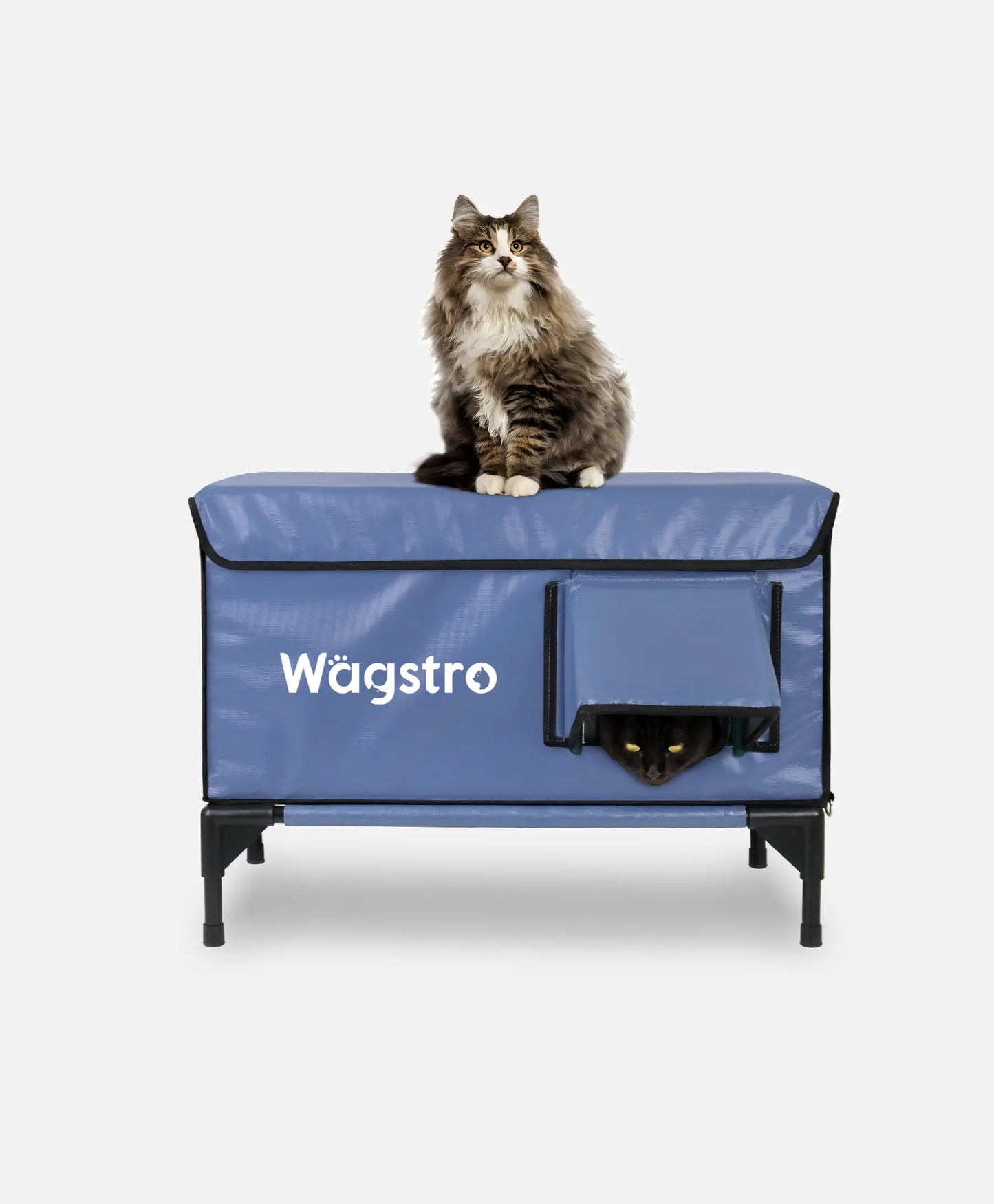 ArcticGuard™ Heated Outdoor Cat Shelter – Slate Blue | Large