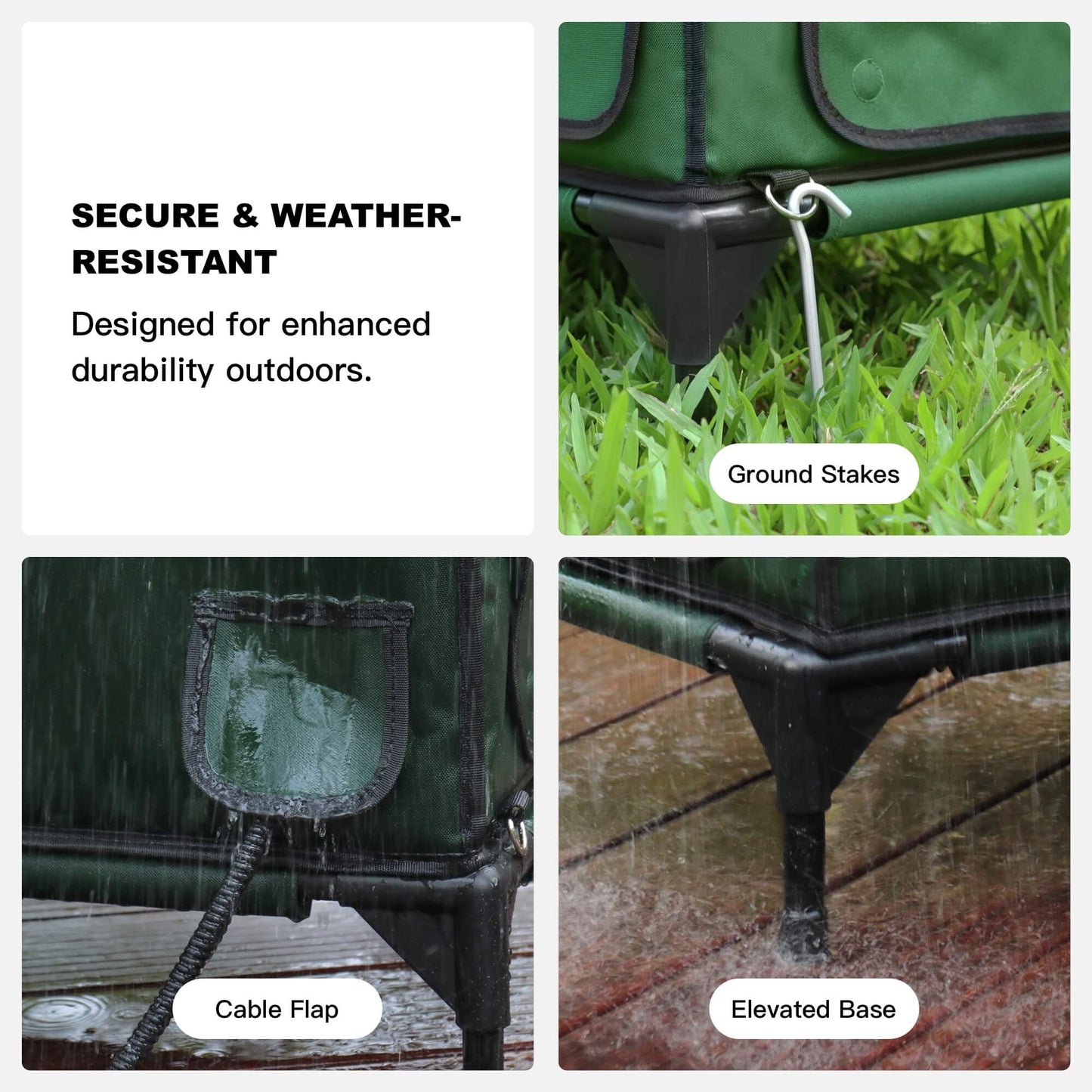 Dual doors—front entry and rear escape—for safer outdoor cats