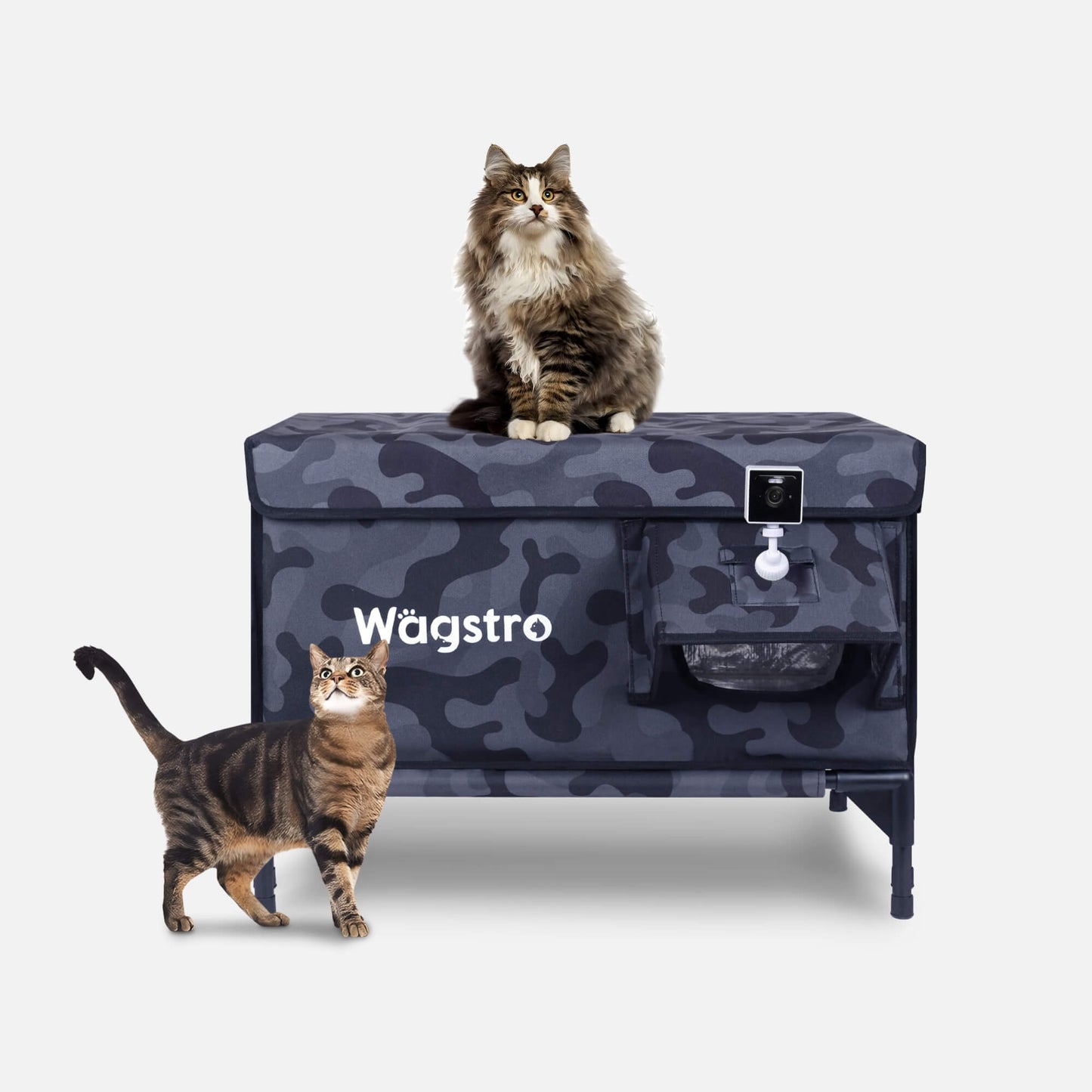 Night Camo