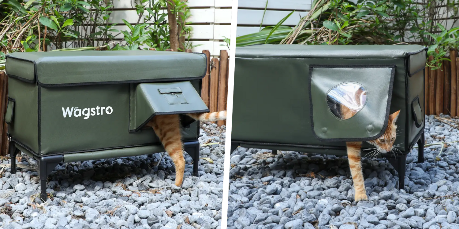 Wagstro outdoor cat shelter with one-way escape hatch, allowing cats to exit quickly for safety