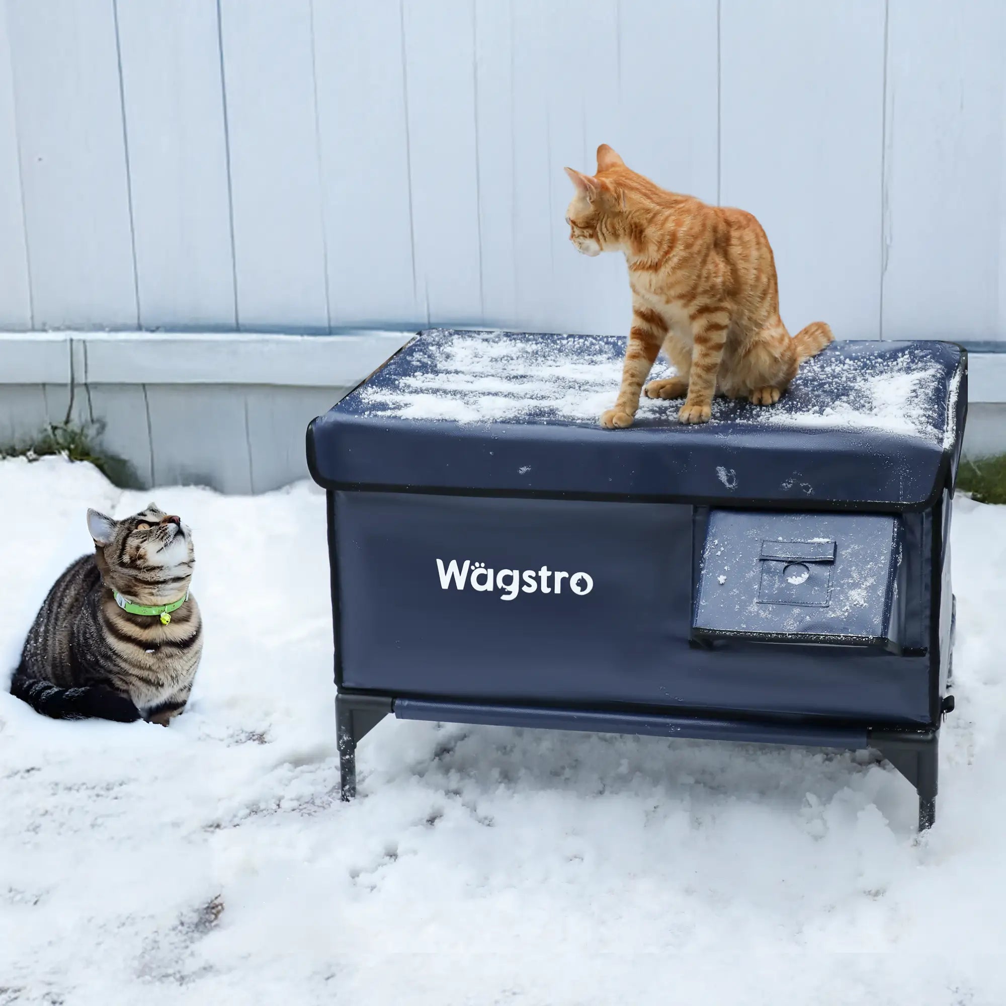 Heated Wagstro cat house in winter with cats resting on and around the shelter.