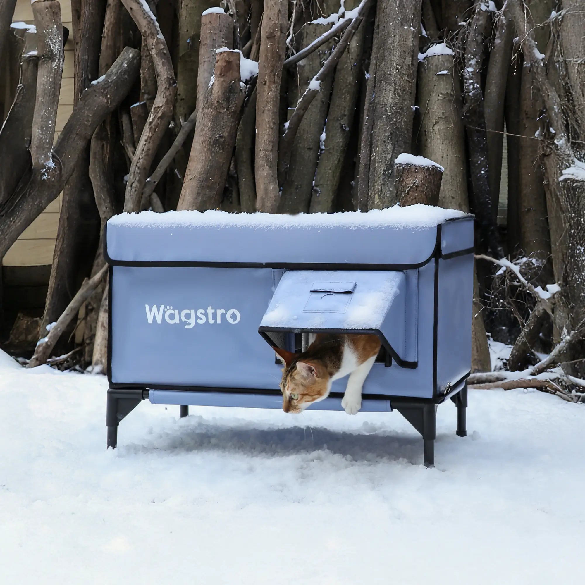 Insulated Wagstro cat shelter in snowy weather with a cat exiting through the escape door.