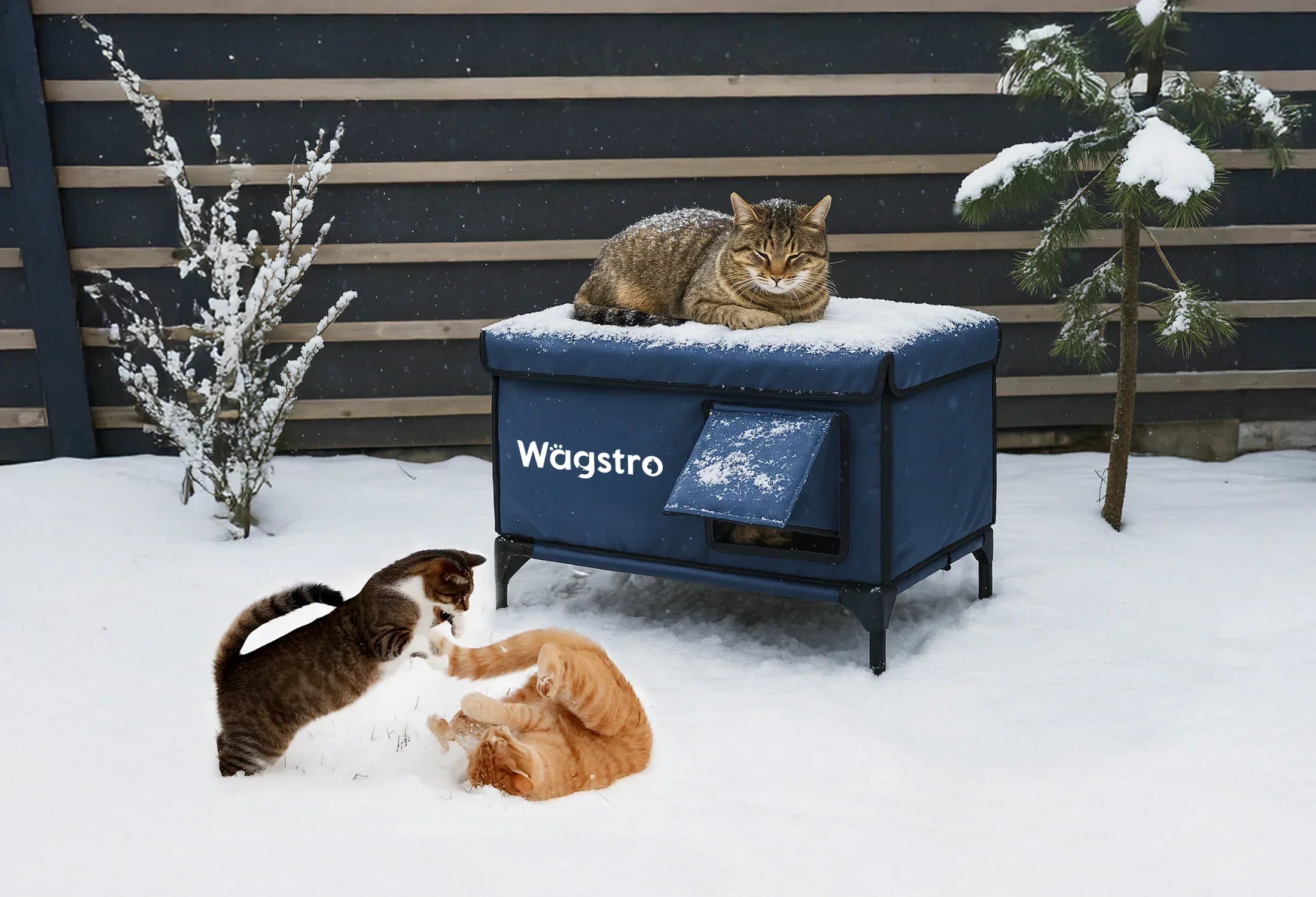 Top 5 Heated Outdoor Cat Houses for Winter 2025