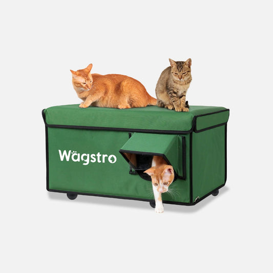 2024 - AllGuard Heated Outdoor Cat Shelter – Green | Compact Base