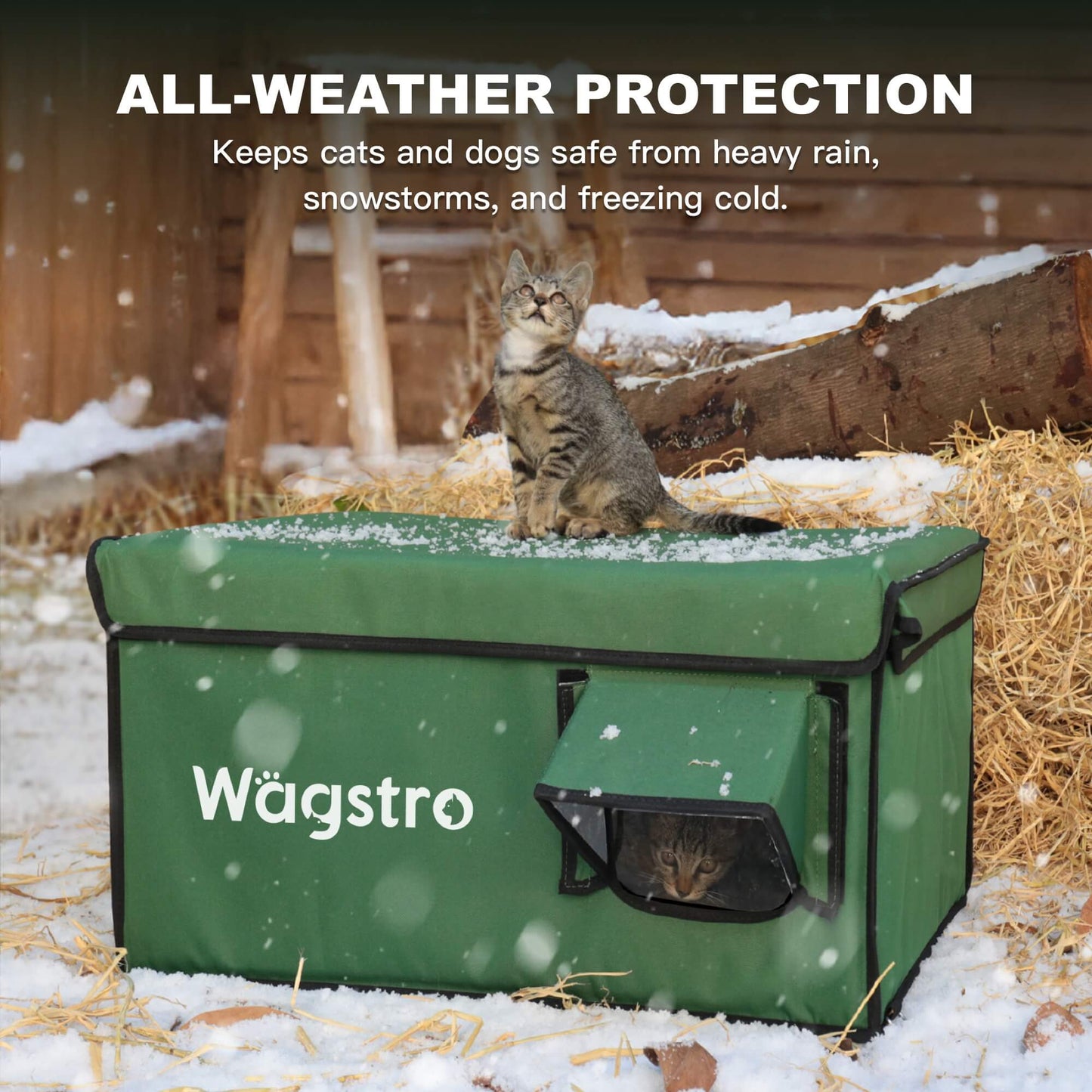 2024 - AllGuard Heated Outdoor Cat Shelter – Green | Compact Base