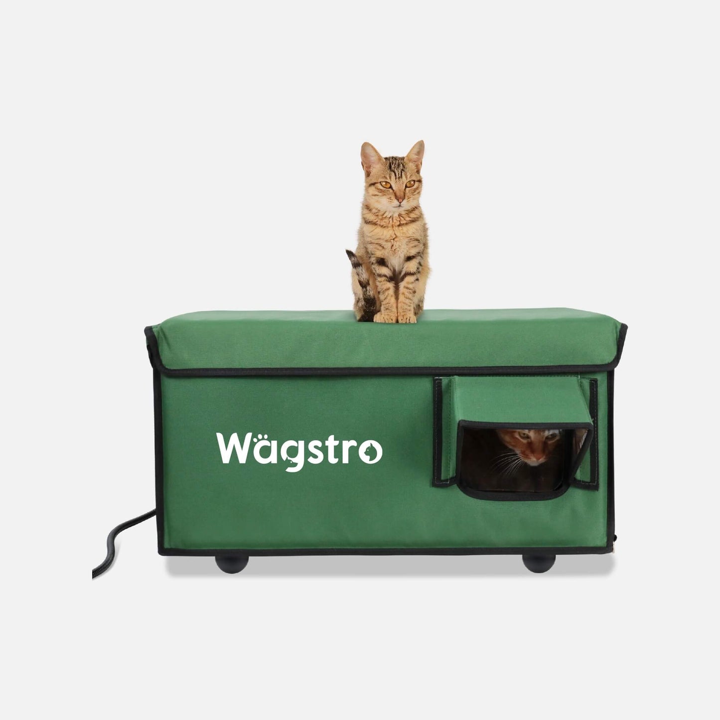 2024 - AllGuard Heated Outdoor Cat Shelter – Green | Compact Base