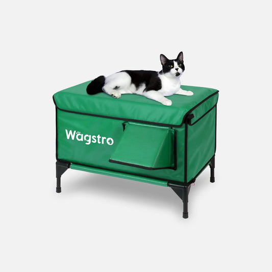 2024 - ArcticGuard Heated Outdoor Cat Shelter – Green | Large