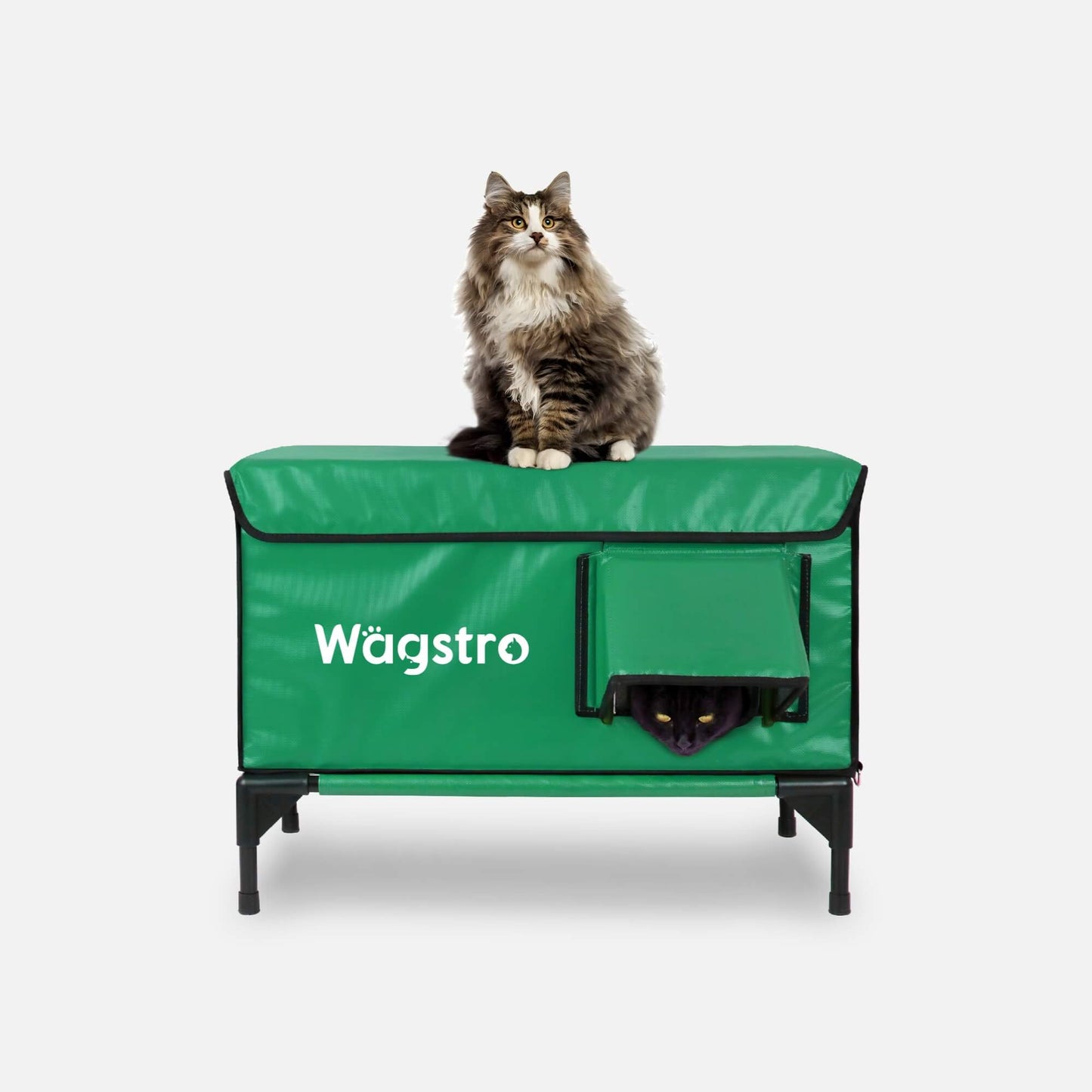 2024 - ArcticGuard Heated Outdoor Cat Shelter – Green | Large
