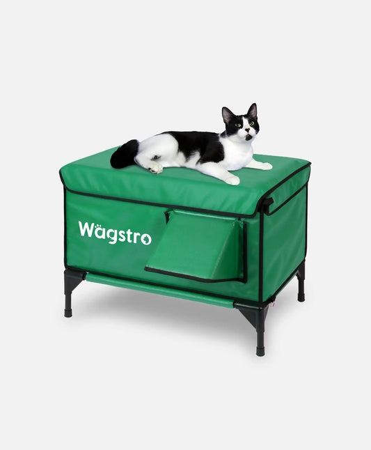 ArcticGuard™ Heated Outdoor Cat Shelter – Green | Large