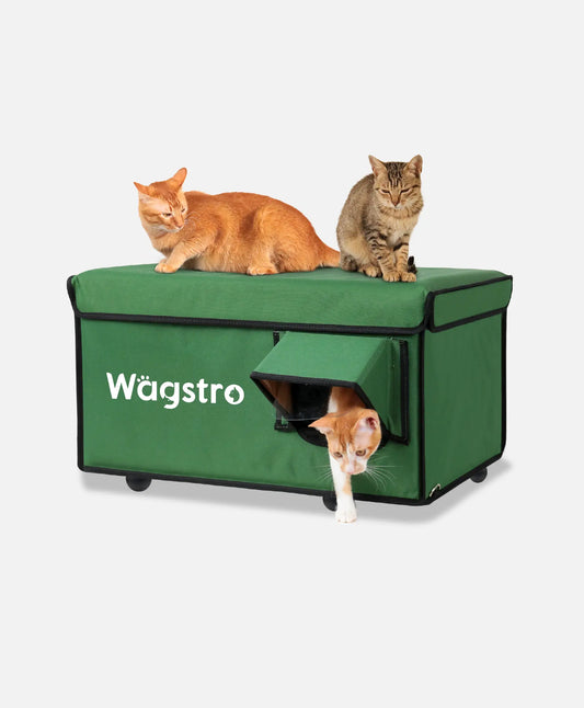 AllGuard™ Heated Outdoor Cat Shelter – Green | Compact Base