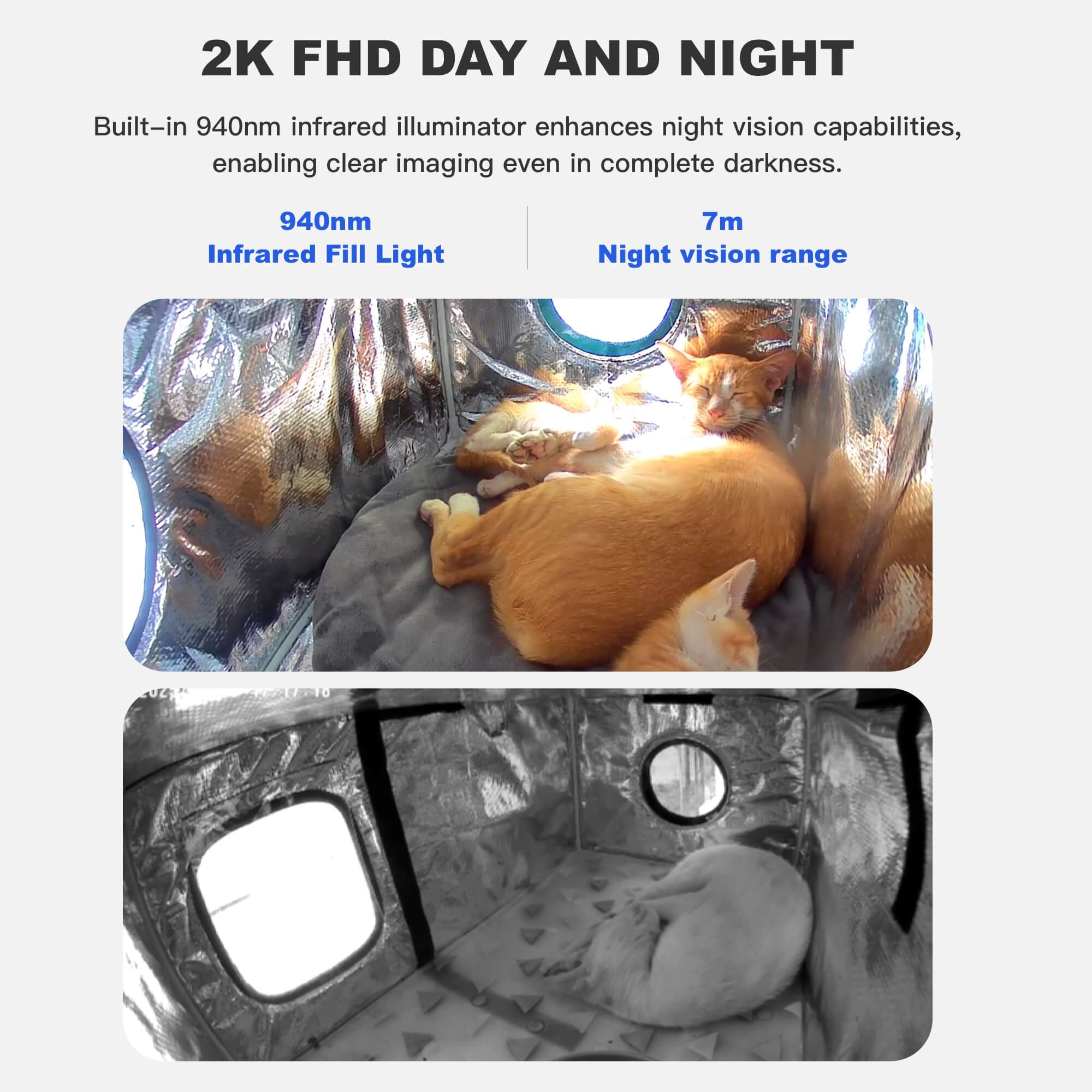 Wagstro Plug-in Outdoor Pet Camera – Continuous Power for 24/7 Monitoring