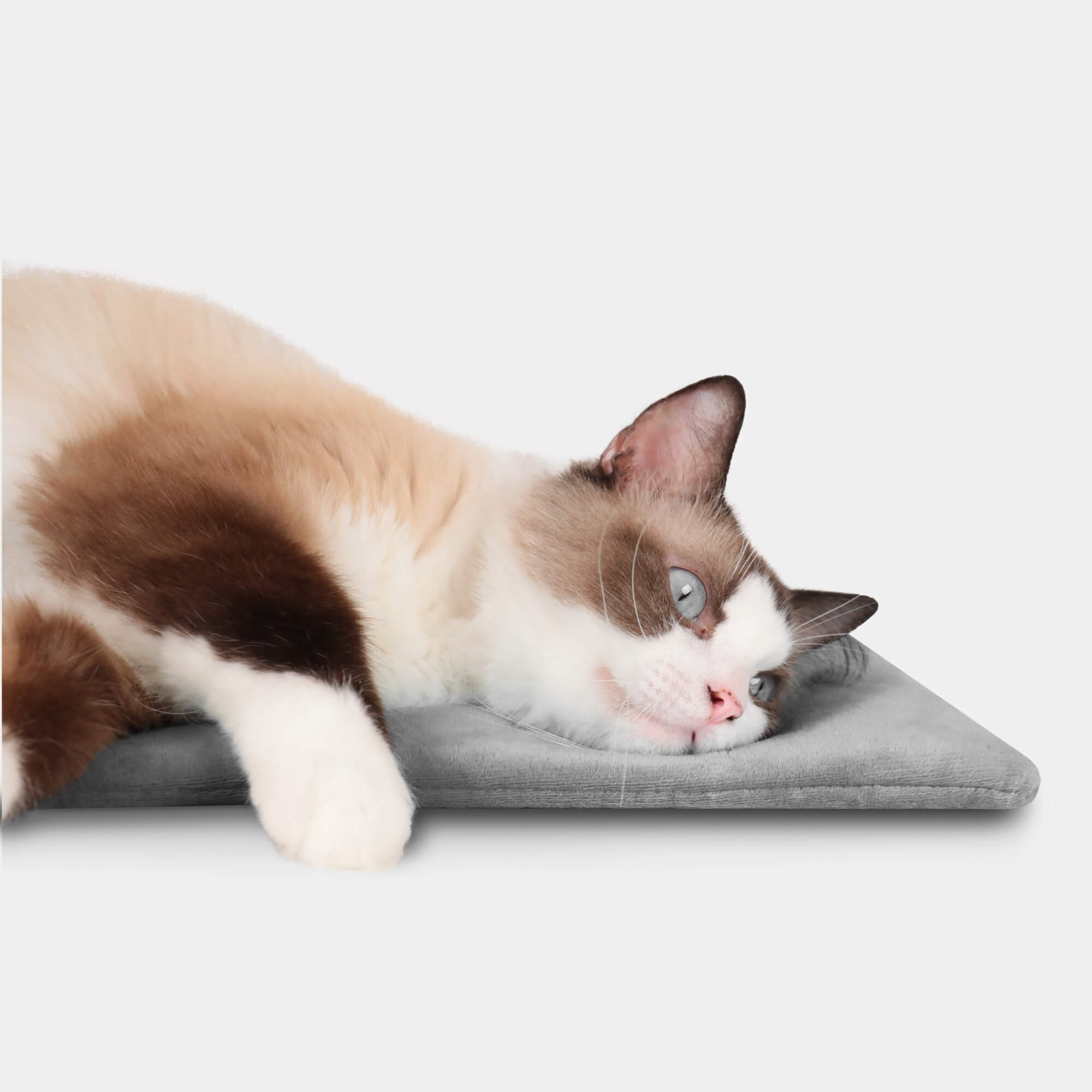 Wagstro Heated Pad – Waterproof & Safe Heating Mat for Cats