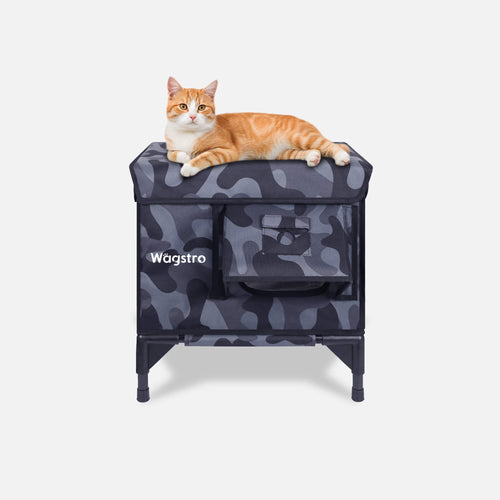 Night Camo