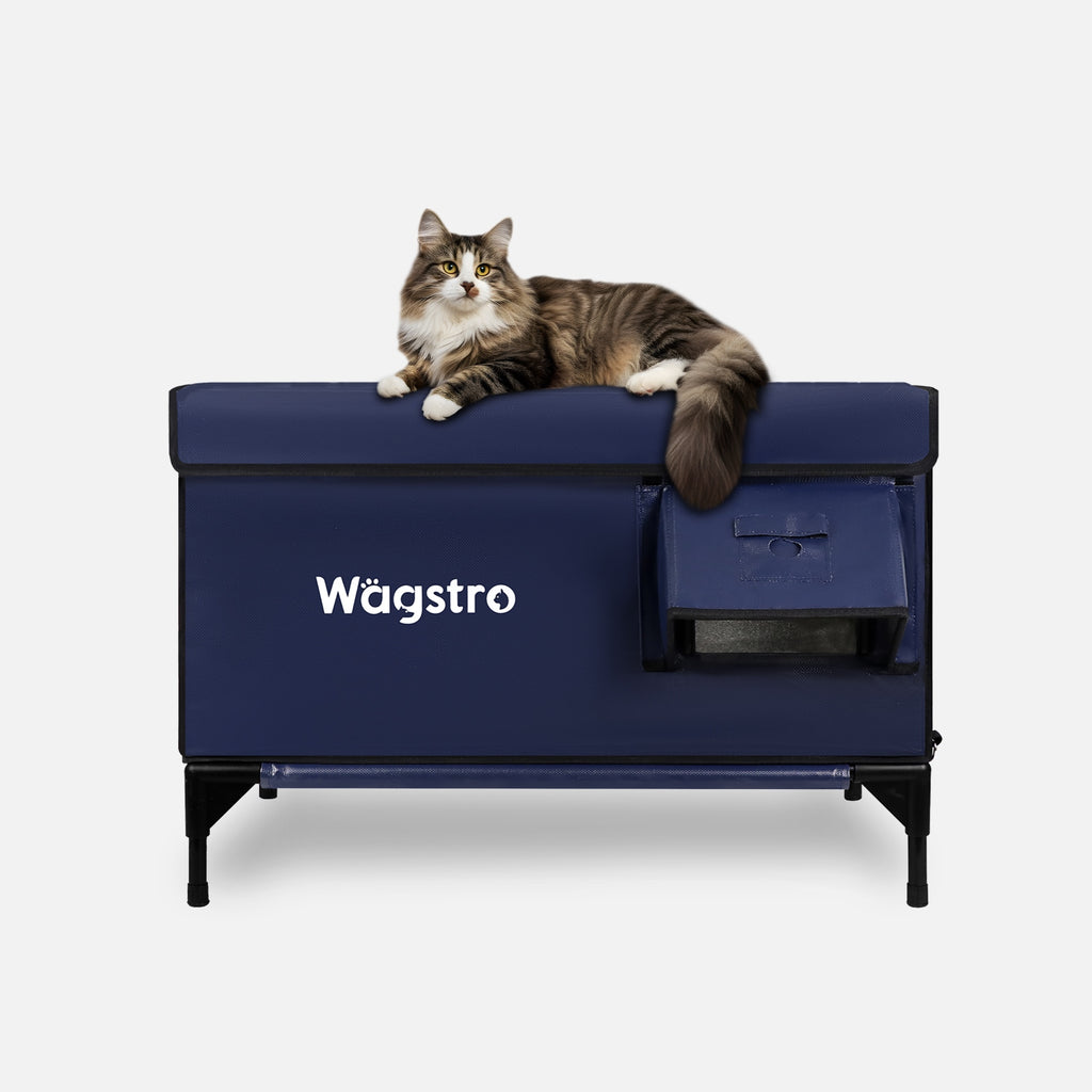 Flagship heated outdoor cat house, navy blue, front view