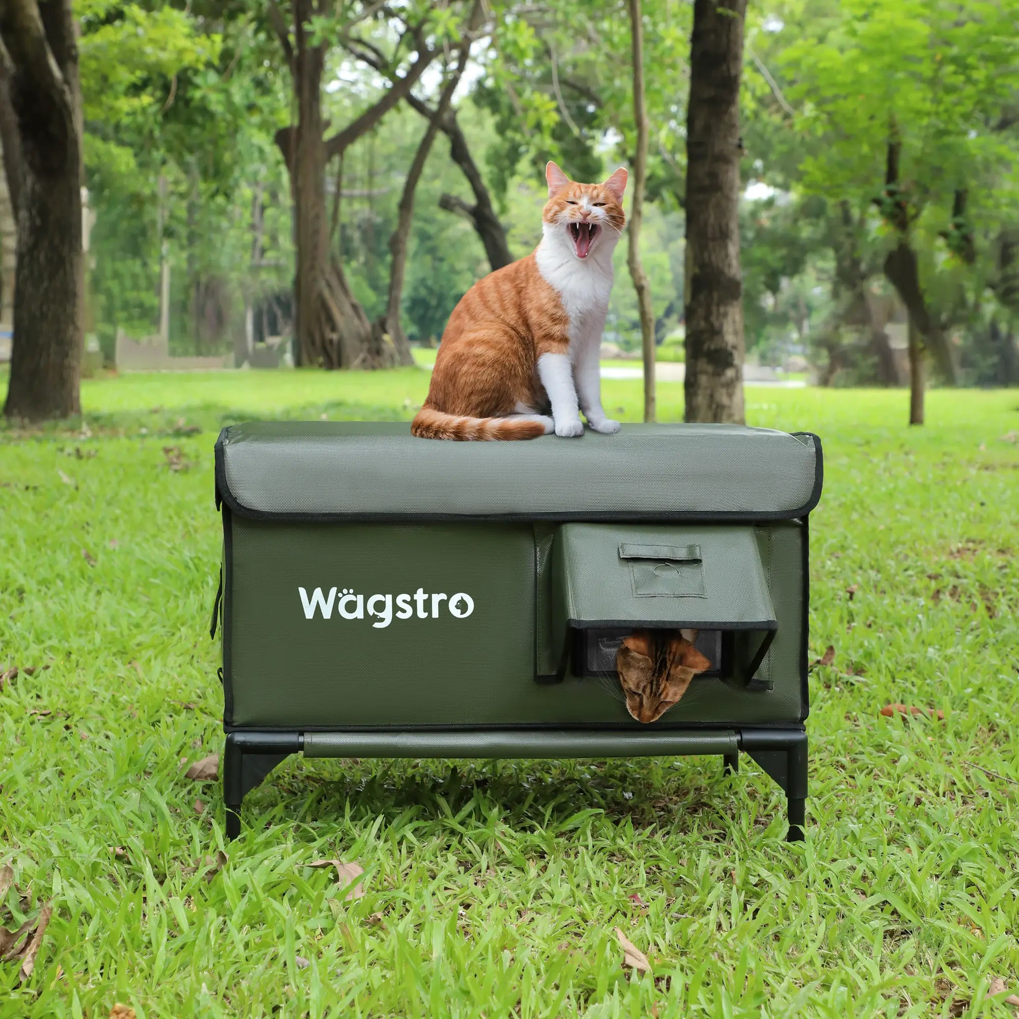 Green Wagstro outdoor cat shelter with a cat resting on top and another inside, suitable for all-weather use.